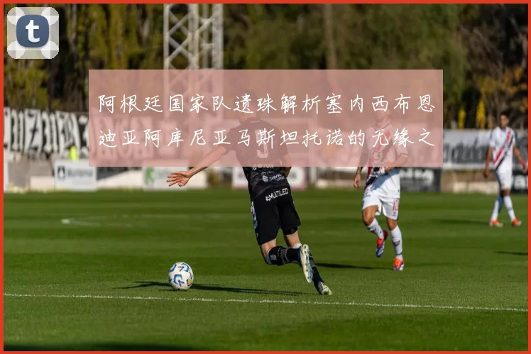 阿根廷国家队遗珠解析塞内西布恩迪亚阿库尼亚马斯坦托诺的无缘之路